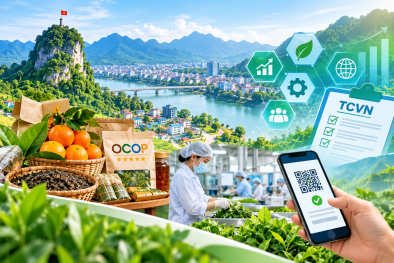 Tuyên Quang triển khai loạt giải pháp thực hiện Chiến lược tiêu chuẩn quốc gia