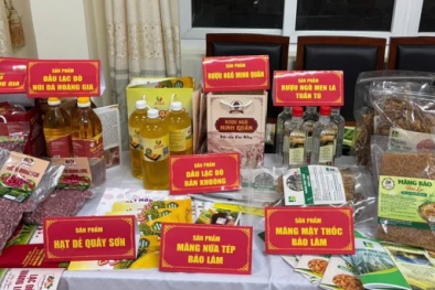 Cao Bằng nâng cao năng lực quản lý tiêu chuẩn, chất lượng từ cơ sở