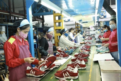 Định hướng xây dựng tiêu chuẩn, quy chuẩn về an toàn hóa chất cho sản phẩm da giầy tại Việt Nam