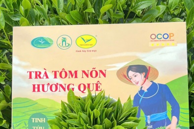 Từ sản vật quê hương đến giá trị OCOP: Khi bản sắc trở thành nguồn lực phát triển