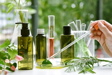 Ứng dụng AI trong xây dựng, cập nhật tiêu chuẩn cơ sở cho sản phẩm nguồn gốc thiên nhiên: Tiềm năng và khung triển khai