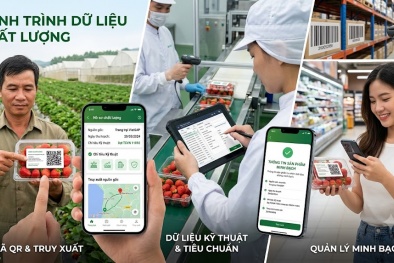 Bài 1: Khi chất lượng không còn nằm trên giấy