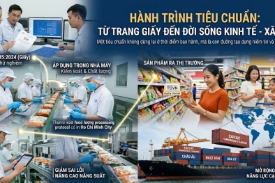 Khi tiêu chuẩn từ trang giấy bước ra đời sống