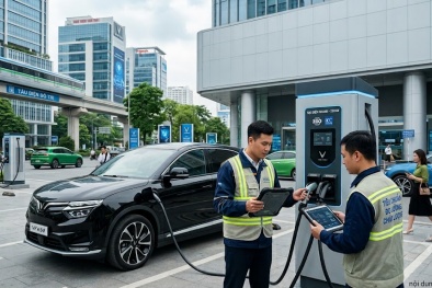 Tiêu chuẩn hóa: Chủ động thích ứng với công nghệ mới