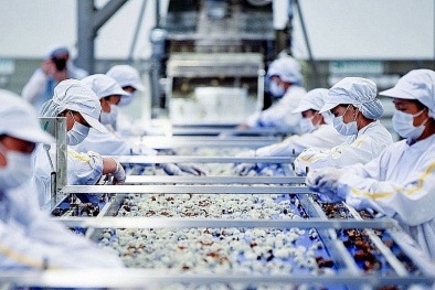 TCVN 13624:2023 thúc đẩy trách nhiệm xã hội trong chuỗi thực phẩm