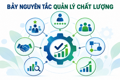 Bảy nguyên tắc quản lý chất lượng – Nền tảng nâng cao hiệu quả hoạt động của tổ chức