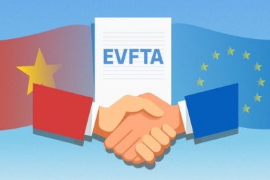 VEFTA mở rộng không gian phát triển: Từ cơ hội thị trường đến nâng tầm doanh nghiệp Việt Nam