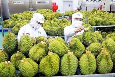 Tiêu chuẩn chất lượng đối với nông sản Việt Nam khi xuất khẩu sang Trung Quốc