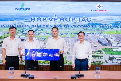 PV GAS và EVNGENCO3 trao đổi giải pháp bảo đảm nguồn cung khí và LNG cho sản xuất điện
