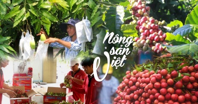 Số hóa chứng nhận: Lời giải cho bài toán cạnh tranh của nông sản Việt