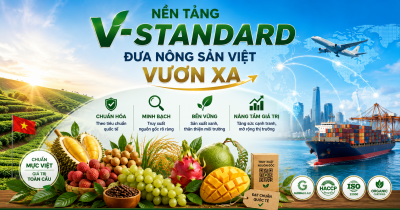 V-Standard: Mở rộng ứng dụng AI trong chứng nhận và truy xuất nguồn gốc nông sản