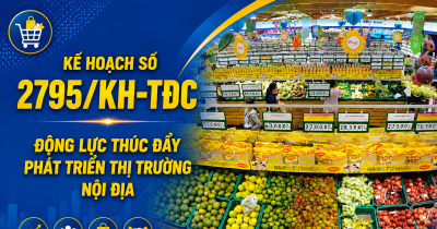 Kế hoạch số 2795/KH-TĐC: Động lực thúc đẩy phát triển thị trường nội địa