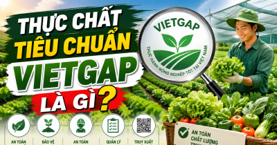 VietGAP: Không chỉ là 'tem rau sạch'