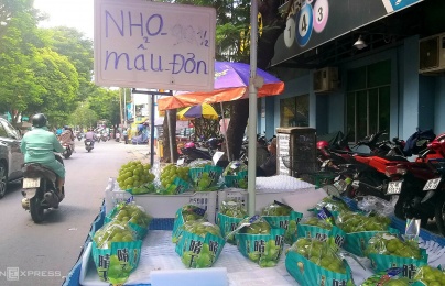 Sự thật về nho mẫu đơn giá rẻ?