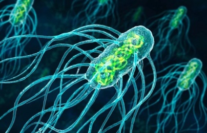 Nghiên cứu ra băng cứu thương thông minh có thể tiêu diệt siêu vi khuẩn