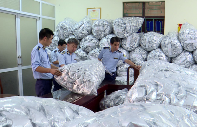 Ngăn chặn kịp thời 40.000 gói rong biển trôi nổi trước khi đến tay người tiêu dùng