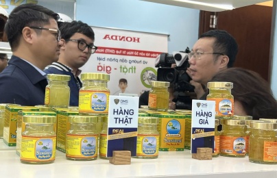 Yến chưng 'siêu rẻ': 'Thực phẩm vàng' bị hạ giá, pha tạp, biến chất?