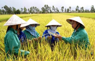 Nông nghiệp Việt Nam trước cơn sóng chuyển đổi số