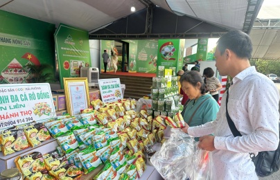 Thúc đẩy thương mại nông sản Việt – Trung hướng tới chuỗi cung ứng hiện đại và bền vững