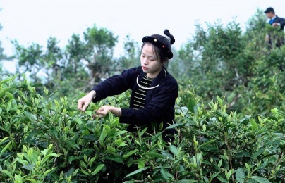 Nâng cao năng suất vùng cao: Bắt đầu từ việc ‘gieo trồng’ nhận thức về cải tiến