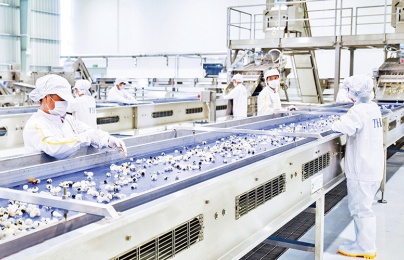 Bắc Ninh hỗ trợ doanh nghiệp nâng cao năng suất chất lượng trong giai đoạn phát triển mới