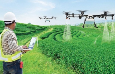 Điều gì khiến gene và AI trở thành tâm điểm tranh luận trong nông nghiệp?