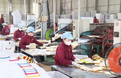 Gia Lai hiện thực hóa các biện pháp nâng cao năng suất để tăng trưởng bền vững