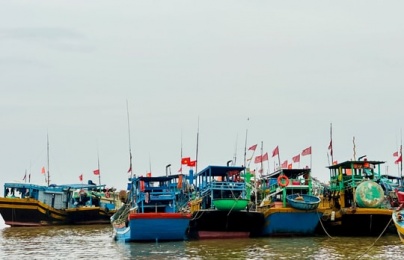 TCVN 14162:2024 về chuẩn kết nối và bảo mật dữ liệu nhật ký khai thác thủy sản điện tử