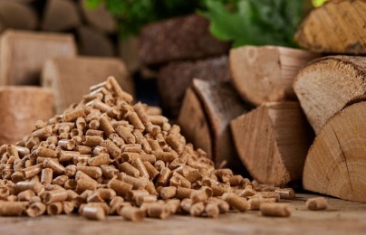 TCVN 14276:2024 về nguyên tố phụ trong nhiên liệu sinh học rắn