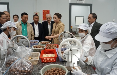 Kinh nghiệm triển khai NSCL tại Đắk Lắk: Thay đổi tư duy quản trị, hình thành chuỗi giá trị 