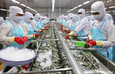 Quản trị chất lượng và bài toán nâng cao năng suất ngành thủy sản