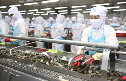 Triển khai Chương trình 1322 tại Cà Mau: Nhận diện vướng mắc và bài học kinh nghiệm