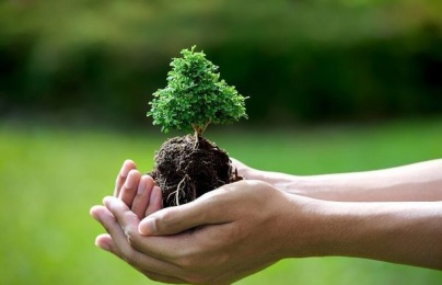 Áp dụng hệ thống quản lý môi trường trong doanh nghiệp: Lợi ích và hiệu quả thực tiễn