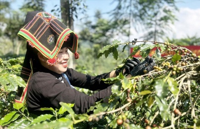 Điện Biên: Đồng bộ nhiều giải pháp nâng cao năng suất, chất lượng sản phẩm giai đoạn 2021–2025
