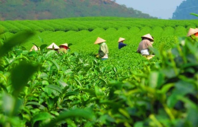 Nâng cao NSCL: ‘Chìa khóa’ tăng sức cạnh tranh cho doanh nghiệp Thái Nguyên