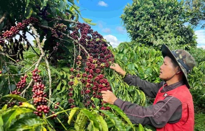 Nâng cao năng suất tại Lâm Đồng: Hiệu quả và thách thức