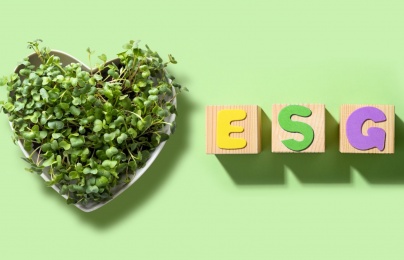 ESG – đòn bẩy mới cho doanh nghiệp Việt trên hành trình phát triển bền vững