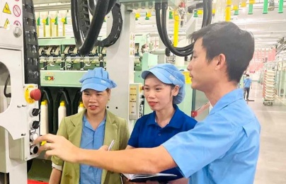 Quảng Ngãi thúc đẩy chuyển đổi xanh dựa trên nền tảng năng suất chất lượng 