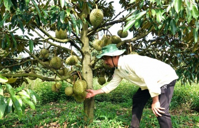 Gia Lai: Chương trình 1322 giúp doanh nghiệp thay đổi tư duy quản trị, văn hoá cải tiến, nâng cao năng suất
