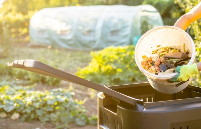 Tiêu chuẩn của ASTM về khả năng phân hủy sinh học góp phần quản lý chất thải hữu cơ