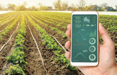 Minh bạch nguồn gốc sản phẩm: Hướng đi mới của Tuyên Quang