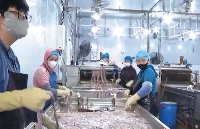 Đột kích cơ sở 'hô biến' nhiều tấn lòng lợn bốc mùi thành vỏ xúc xích, lạp xưởng