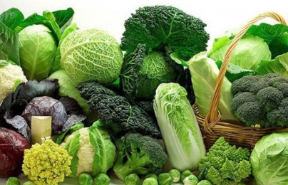 Ăn Tết khoa học: Giữ sức khỏe cho người thể trạng yếu