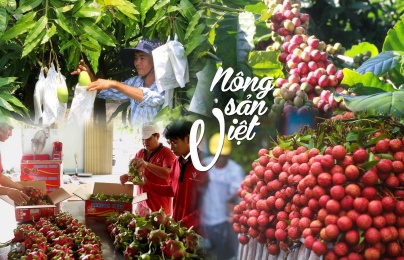 Số hóa chứng nhận: Lời giải cho bài toán cạnh tranh của nông sản Việt