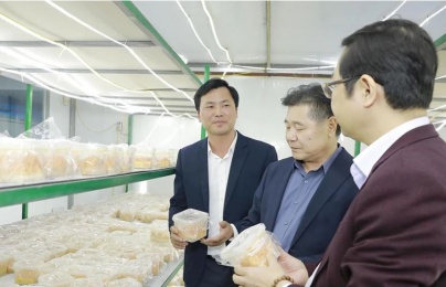 Nâng tầm dược liệu: Từ sản phẩm OCOP đến động lực tăng trưởng kinh tế địa phương