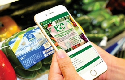 Kết nối hệ thống truy xuất nguồn gốc: Đồng bộ quản lý từ sản xuất đến phân phối