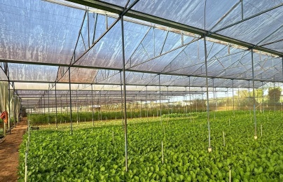 Mô hình tích hợp tiêu chuẩn và công cụ cải tiến phát huy hiệu quả trong doanh nghiệp