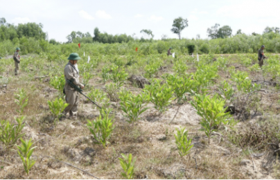 TCVN 10299-4:2025 về điều tra ô nhiễm bom mìn vật nổ