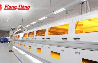 SMEs 'lột xác' nhờ ISO và chuyển đổi số: Hành trình từ thích nghi đến bứt phá