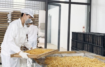 Từ tiêu chuẩn đến công nghệ: Doanh nghiệp địa phương nâng cao năng suất, chất lượng